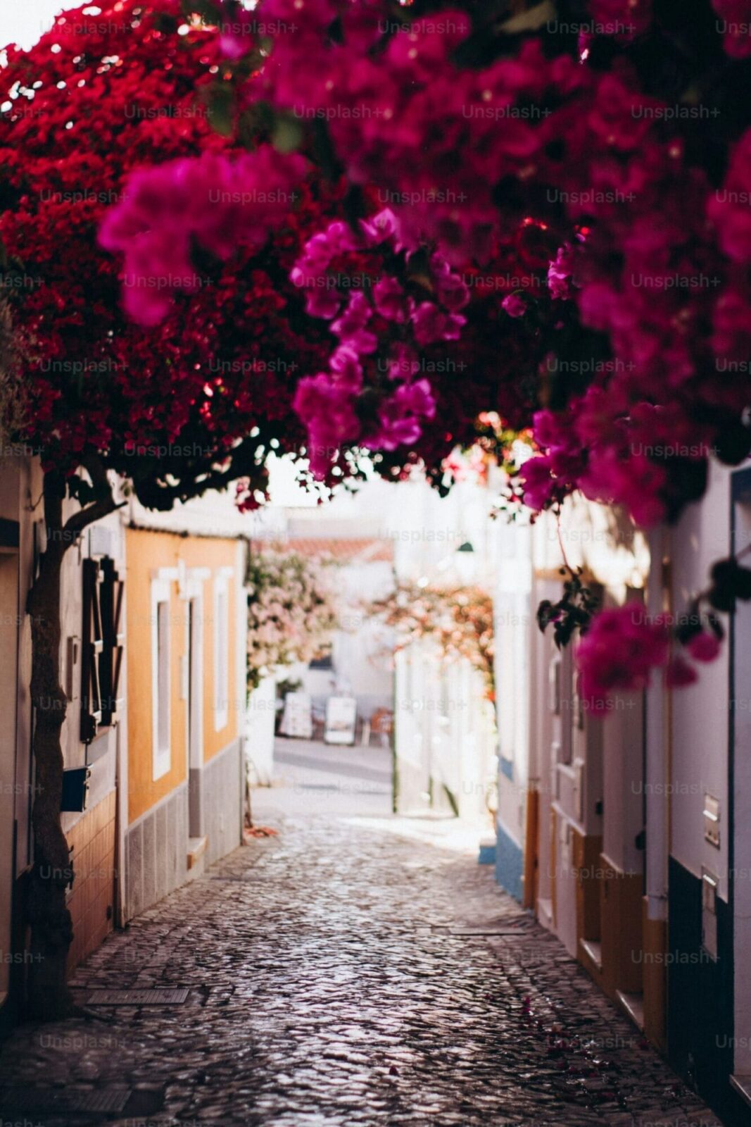 Flower-draped medieval street in Óbidos — Portugal's most perfectly preserved walled town